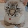 ling.khaw.tee7