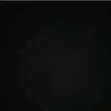user8044219392