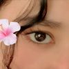 nishi_bbz4