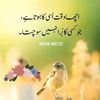 sajidalisangi1