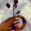 rida.fatima.6262