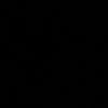 iixv613