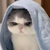 myyhh_.72