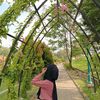 cipaa_aa7