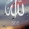 user6167203434173