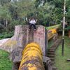 fadly12336