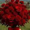 mss.sahina