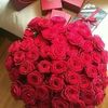user4381099772756