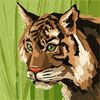 jalira4