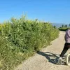 nahla.nahla605