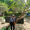 mutiara14207