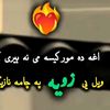 user58254985513043