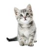 Miss Dollarr💵  🏋‍♀️🐈🐈‍⬛️🦋