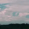 fuhii12