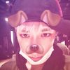 armyallworld12233