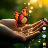 linda.ben56