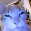 lriahangel