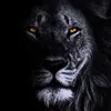 saryan_11
