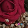 user88046118046870
