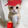 itz_amaira789