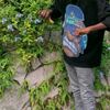 jovie.trosky