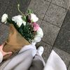 menna.ahmed7109