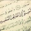 hamed_0.5