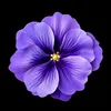 user200136280800