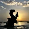 sandhidal_ia
