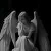 shadow_w35