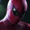 db19spidy
