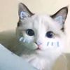 zoeyrblxofc