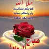 lhcen.timouyas
