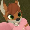 puppyboi84
