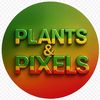 plantsandpixels