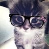 alize_meza