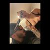 Elysia & Eddie