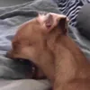 jhay.es1