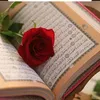 user243708310203