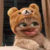 ngocoanh786