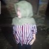 rabadut012