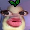 0nlyzy_a