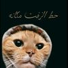 omar_m_awash
