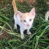 moniy9536