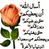 user26746548842500