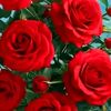 md.chaudhary4