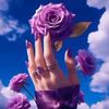 hania.malik6261