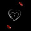 hassnainsm786