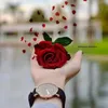 alinmer6