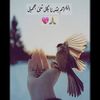 jana.elkholy58